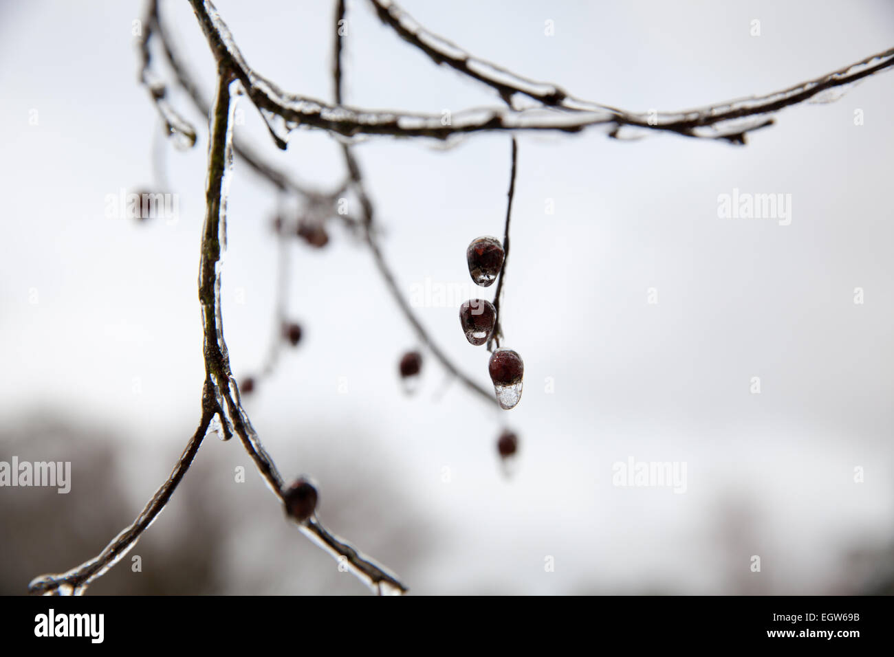December Weather in Outer Banks NC A Mild Oceanic Influence