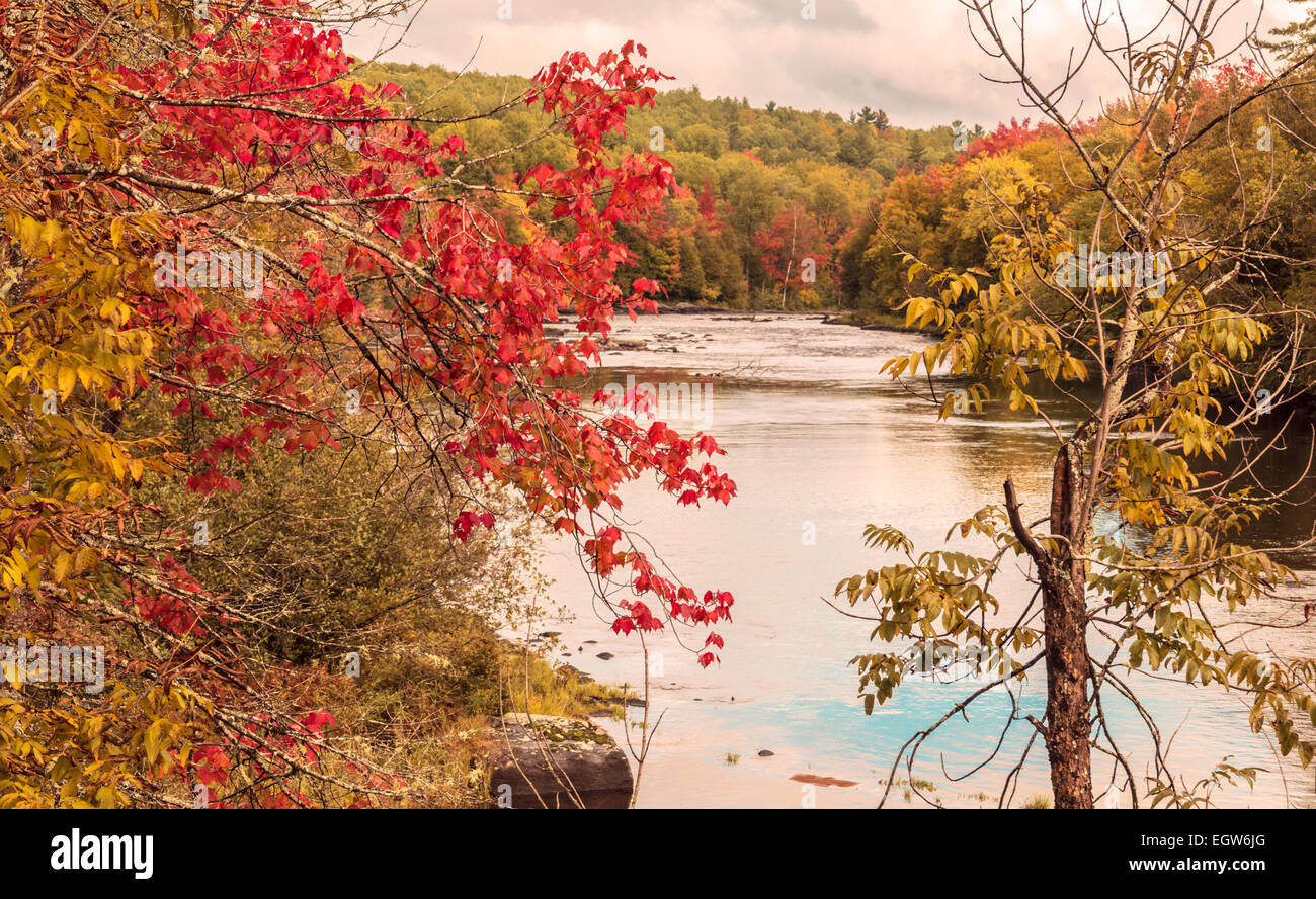 Autumn on the Madawaska River, northern Ontario Stock Photo