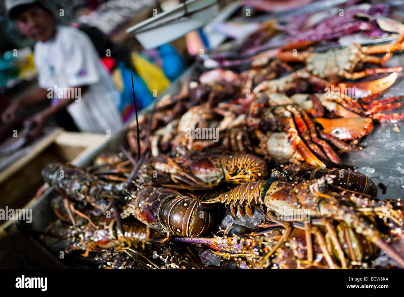 Fresh lobsters and crabs for sale are seen at Mercado de Mariscos