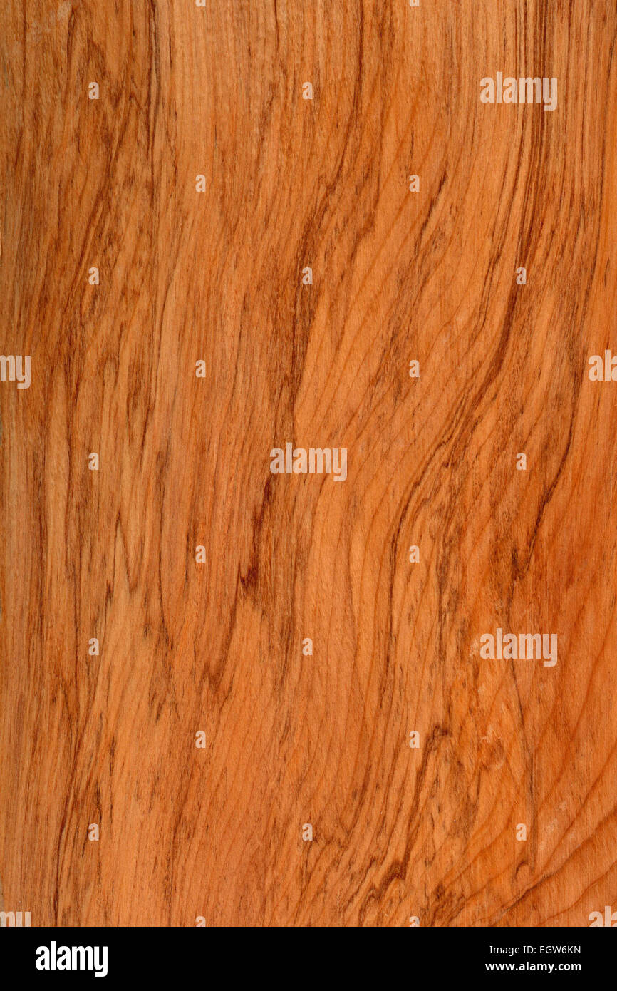 background of wood grain from New Zealand red pine, Dacrydium cupressinum, commonly known as rimu, a large evergreen coniferous Stock Photo