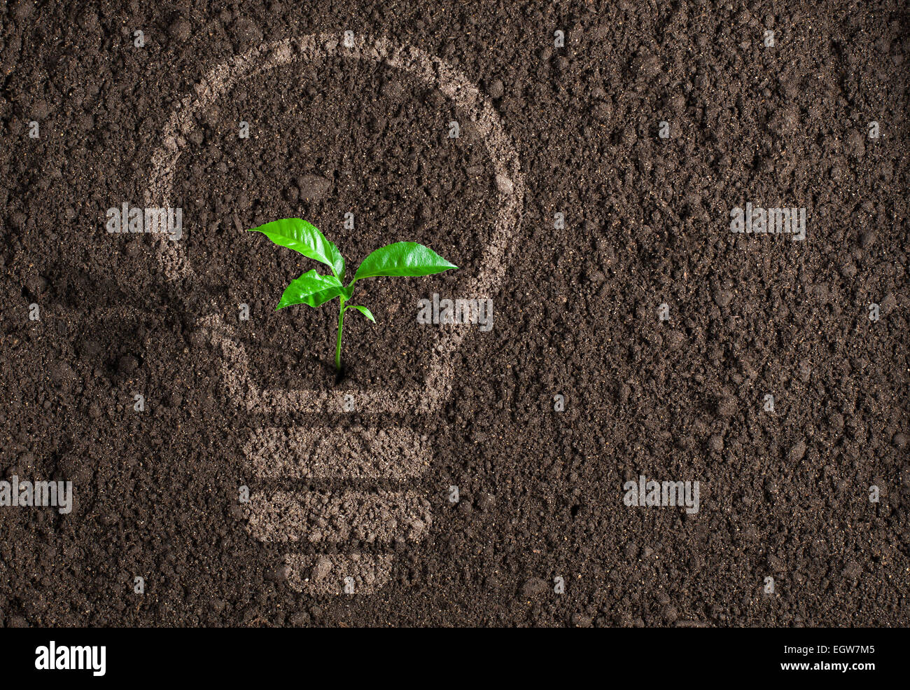 Green plant in light bulb silhouette on soil background Stock Photo