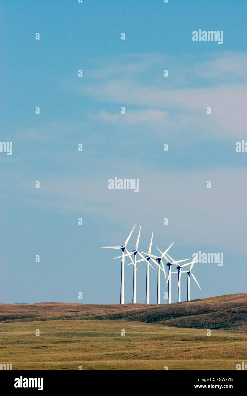 Wind farm turbines in the prairies Stock Photo