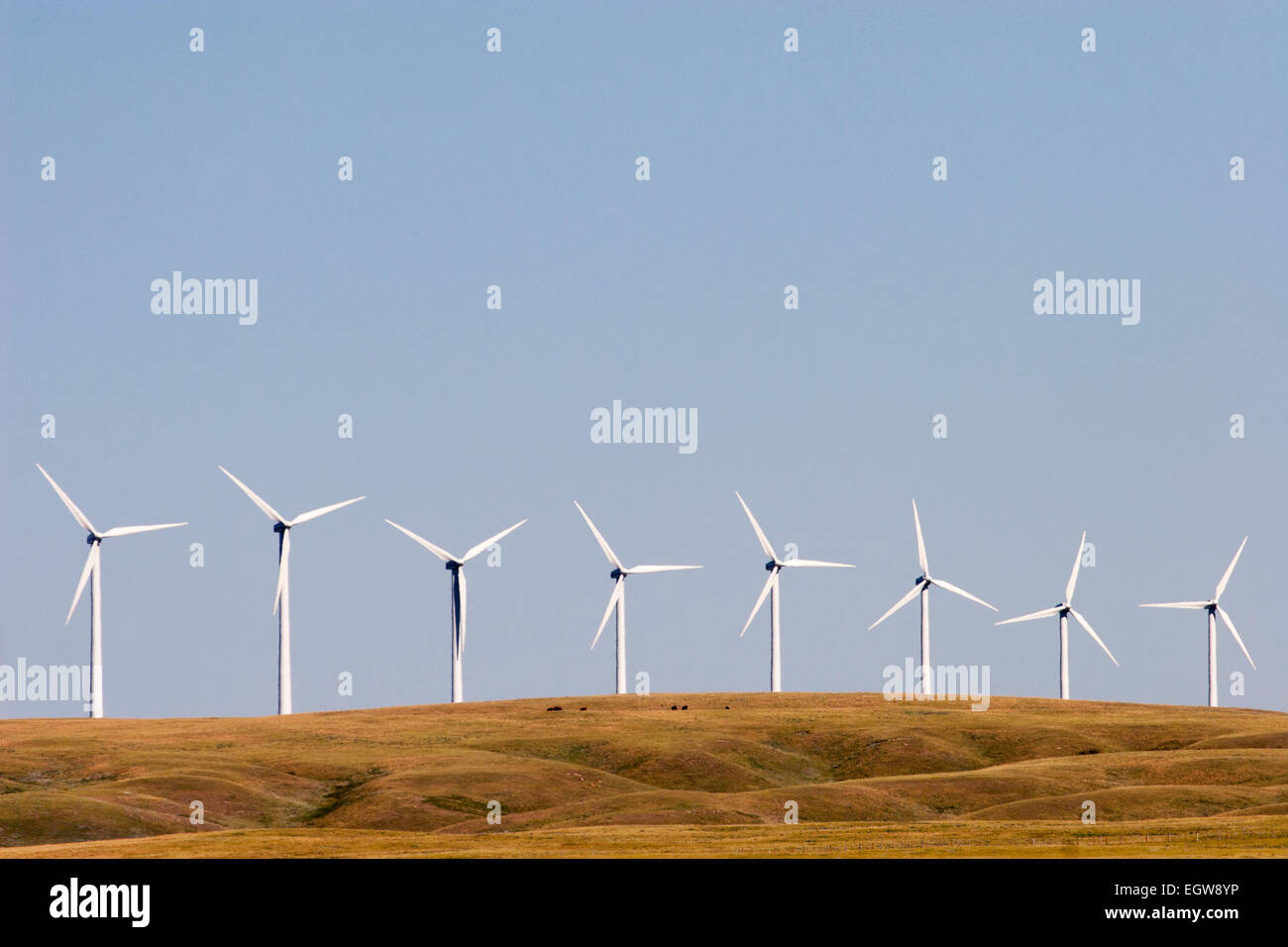 Wind farm turbines on the Canadian prairies in southern Alberta, Canada