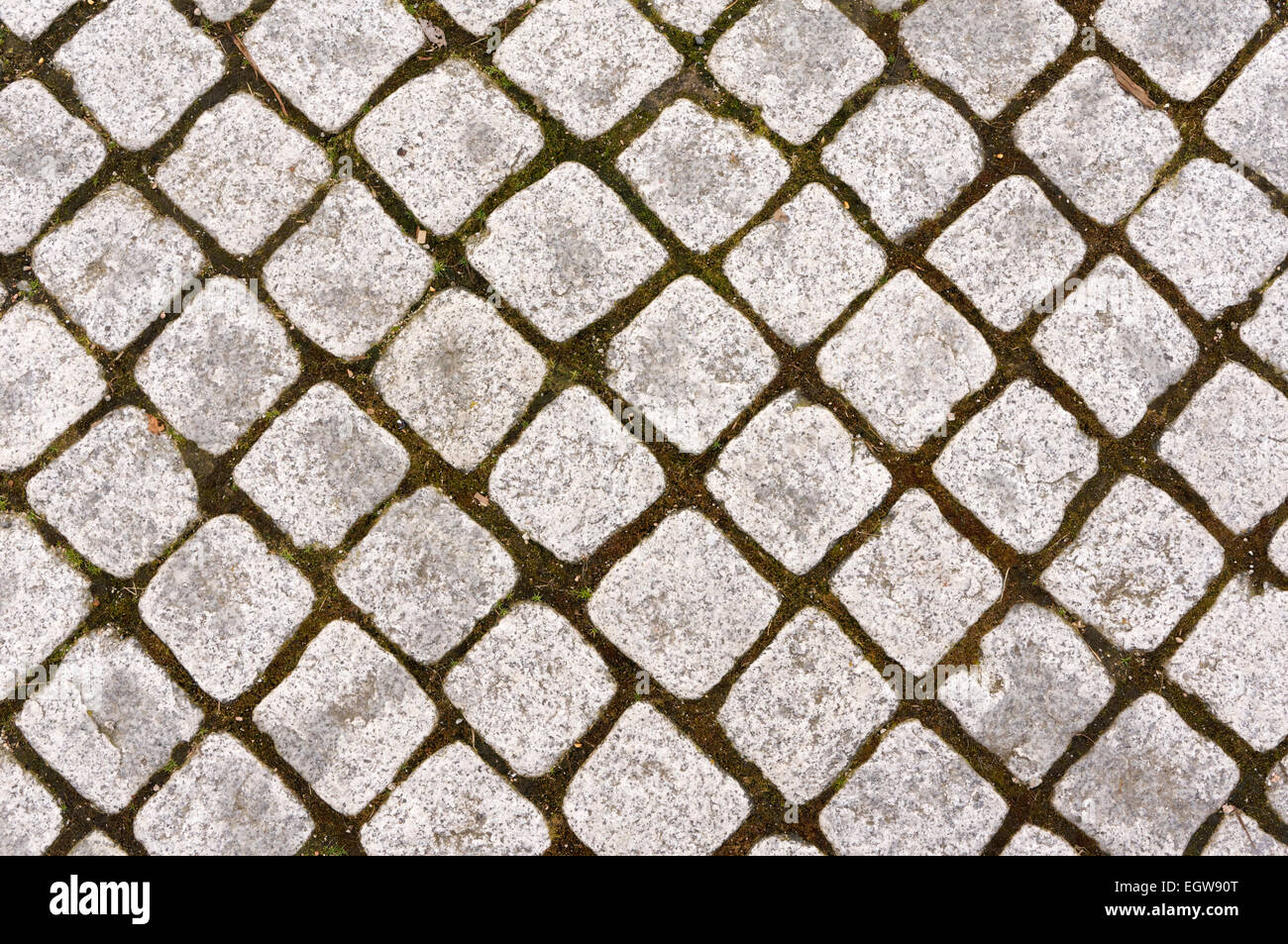 Small inlaid square setts making up a sidewalk Stock Photo