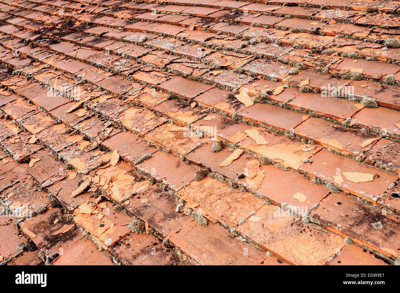 Flaking firedclay roofing tiles / frost damage France Stock Photo
