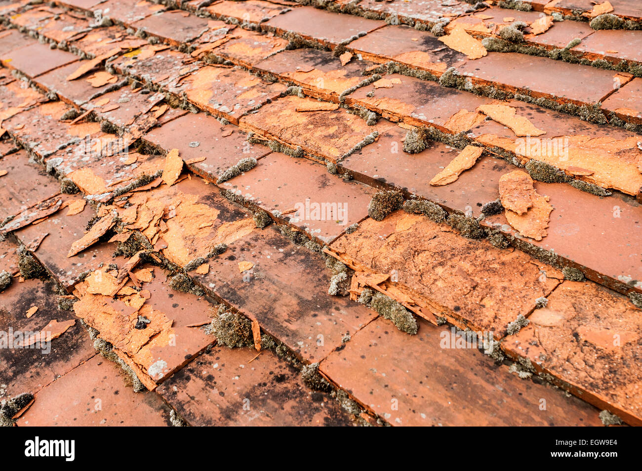 Flaking fired-clay roofing tiles / frost damage - France. Stock Photo