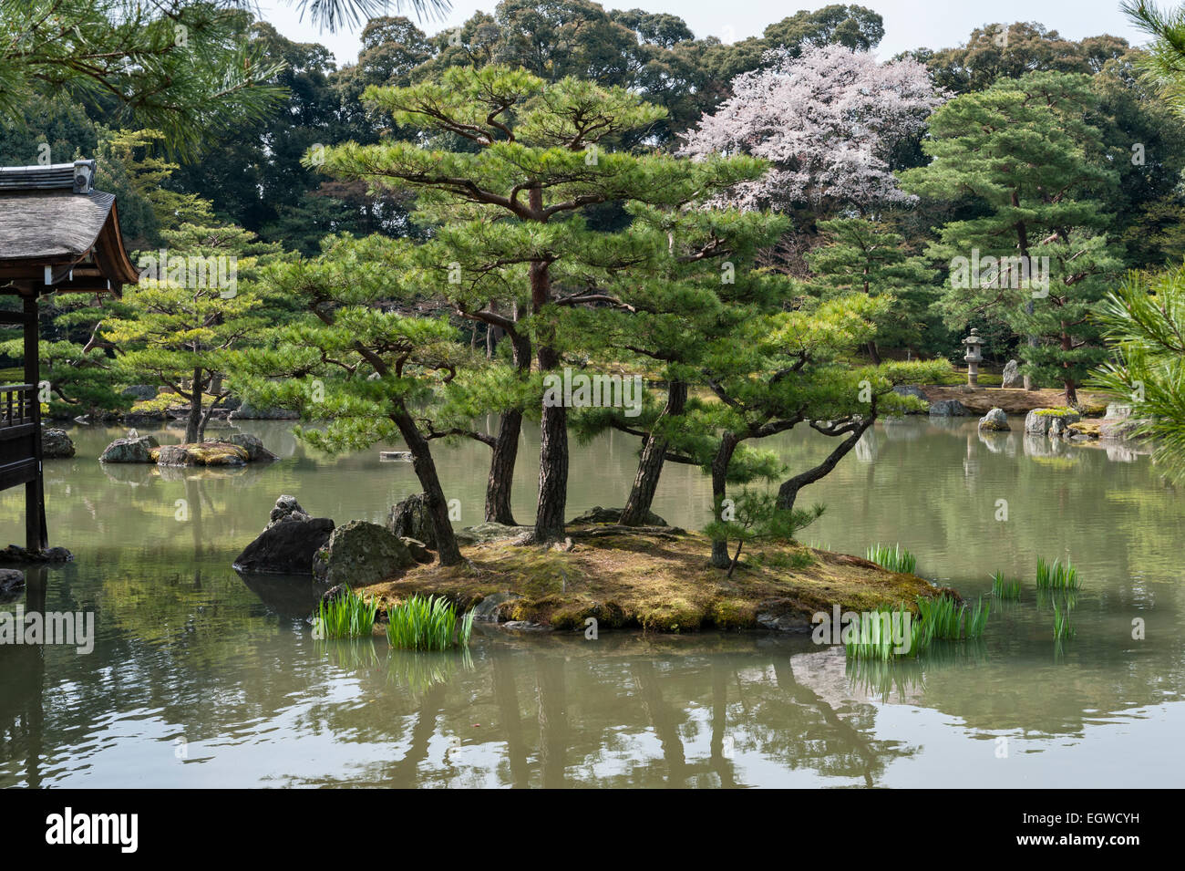 Kyoto, Japan. The gardens of Kinkaku-ji temple (the Golden Pavilion). The pond in spring Stock Photo