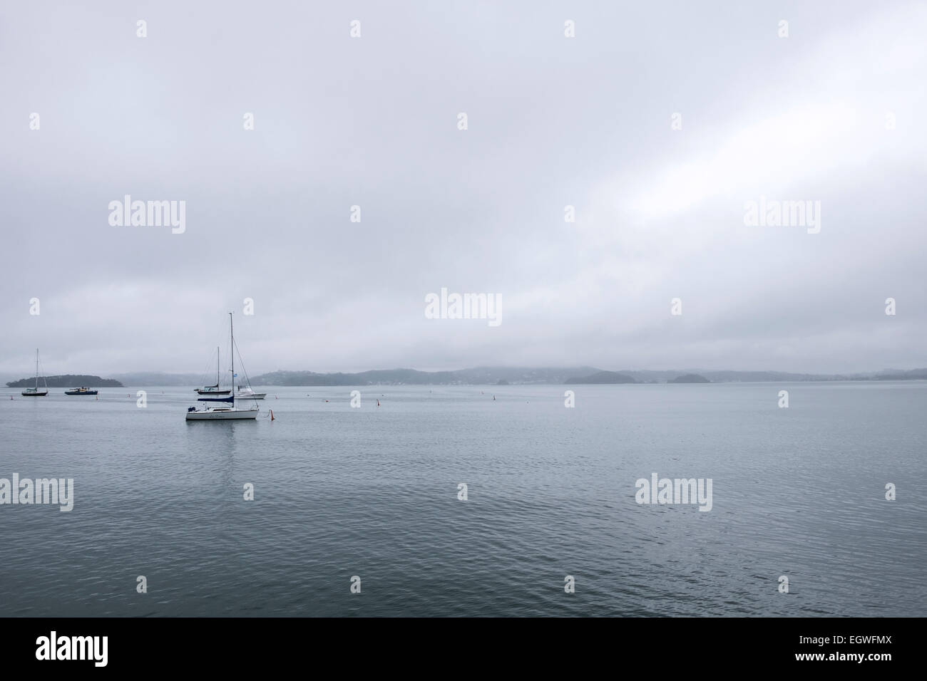Small/Medium Bay in Mist main image 1