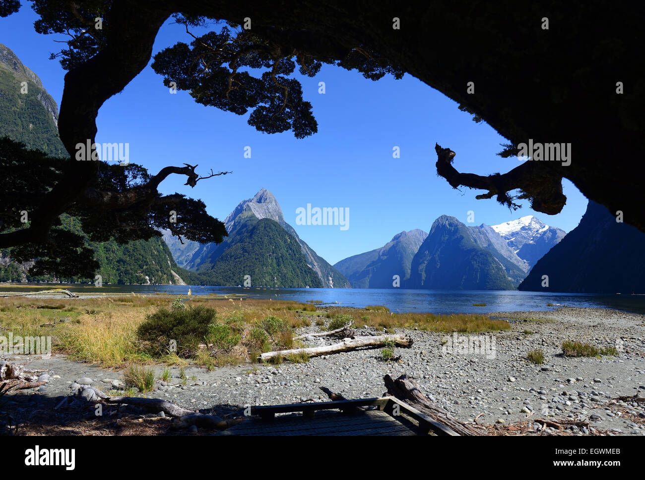 Milford Sound, Fiordland, South Island, New Zealand Stock Photo