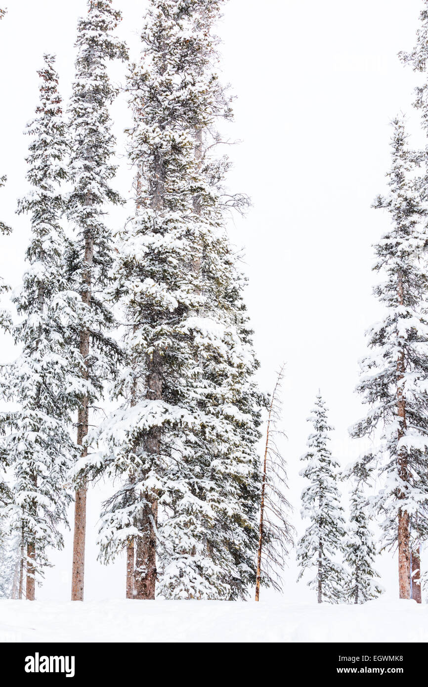 Ski resort at the end of the season after the snow storm in Colorado