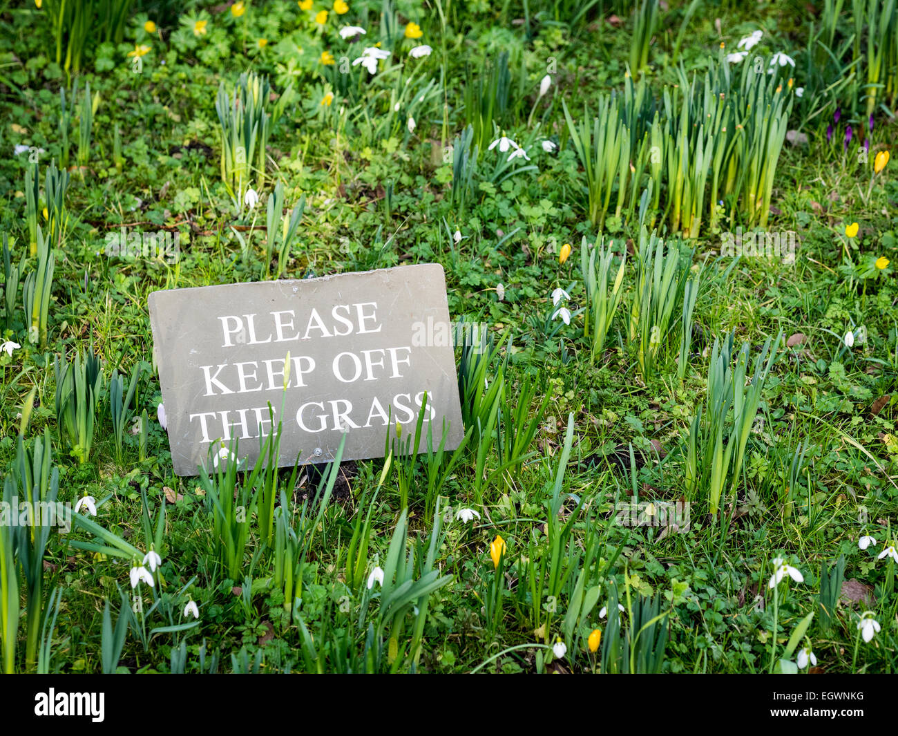 Keep off the Grass sign in Cambridge UK Stock Photo