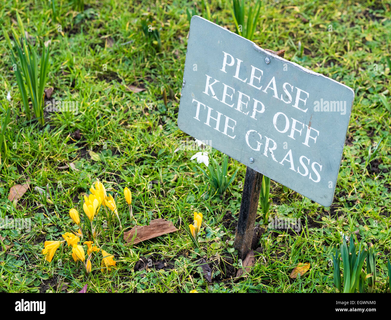 Keep off the Grass Sign in Cambridge UK Stock Photo