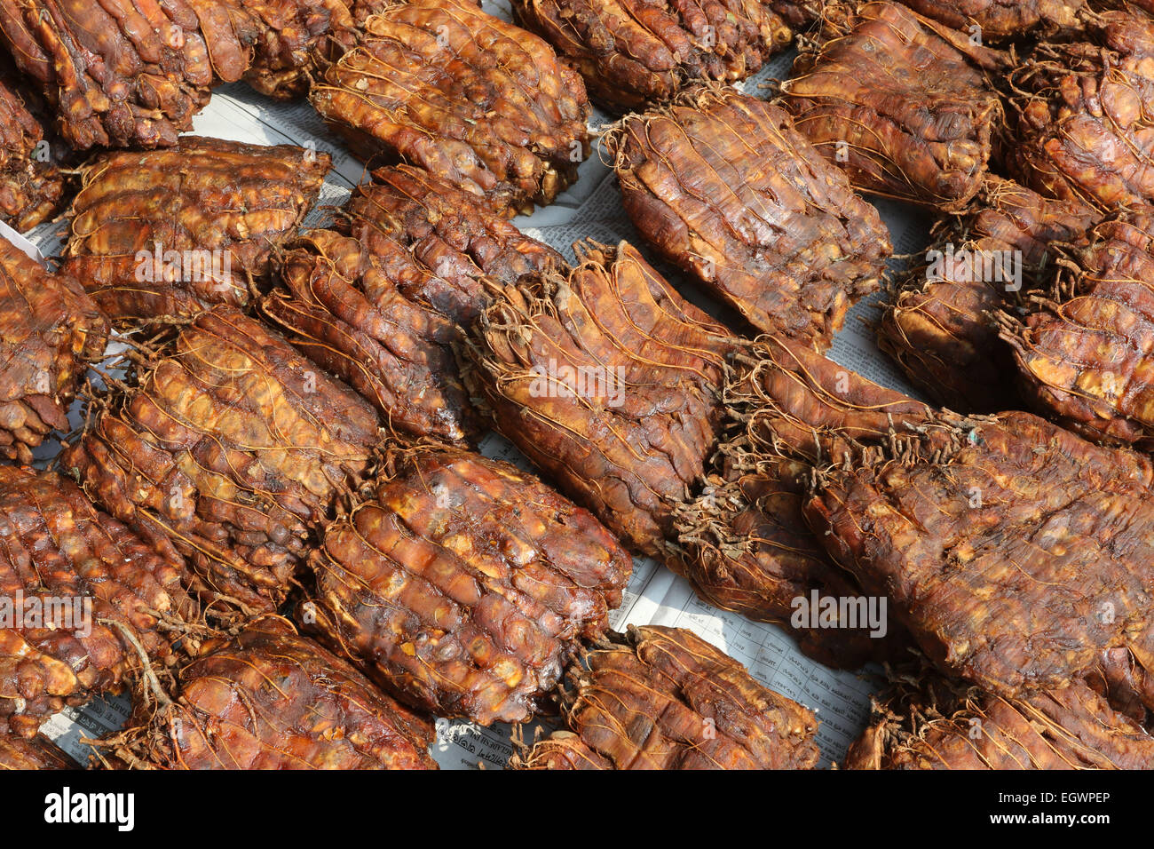 Tamarind Stock Photo