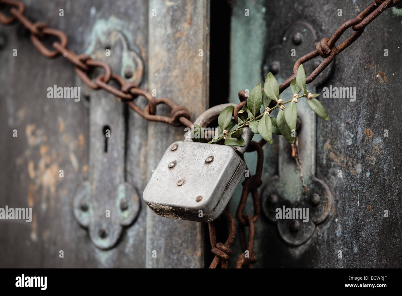 Bronze doors with padlock and chain color Stock Photo Alamy