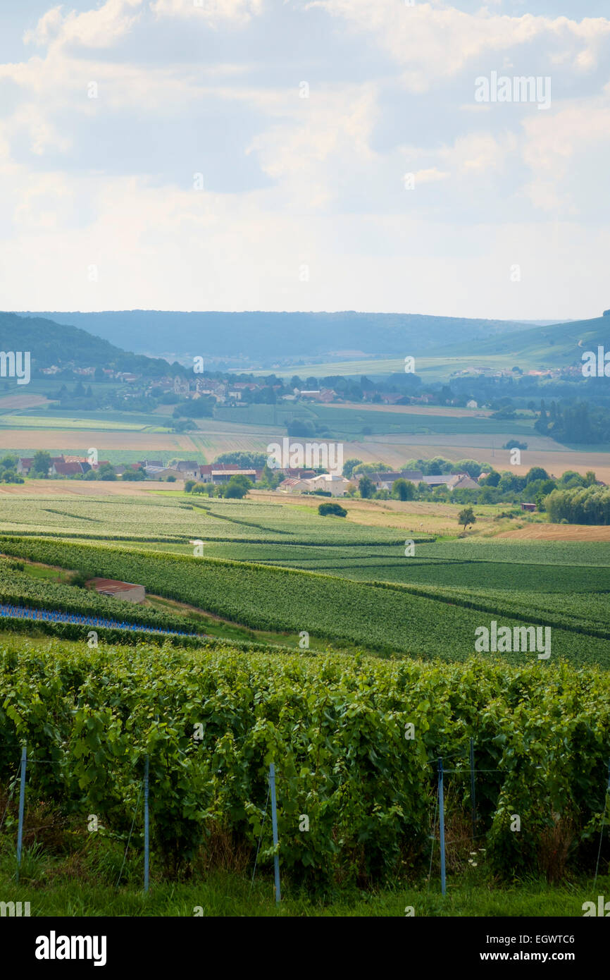 Vineyards and villages in Champagne, France, Europe Stock Photo