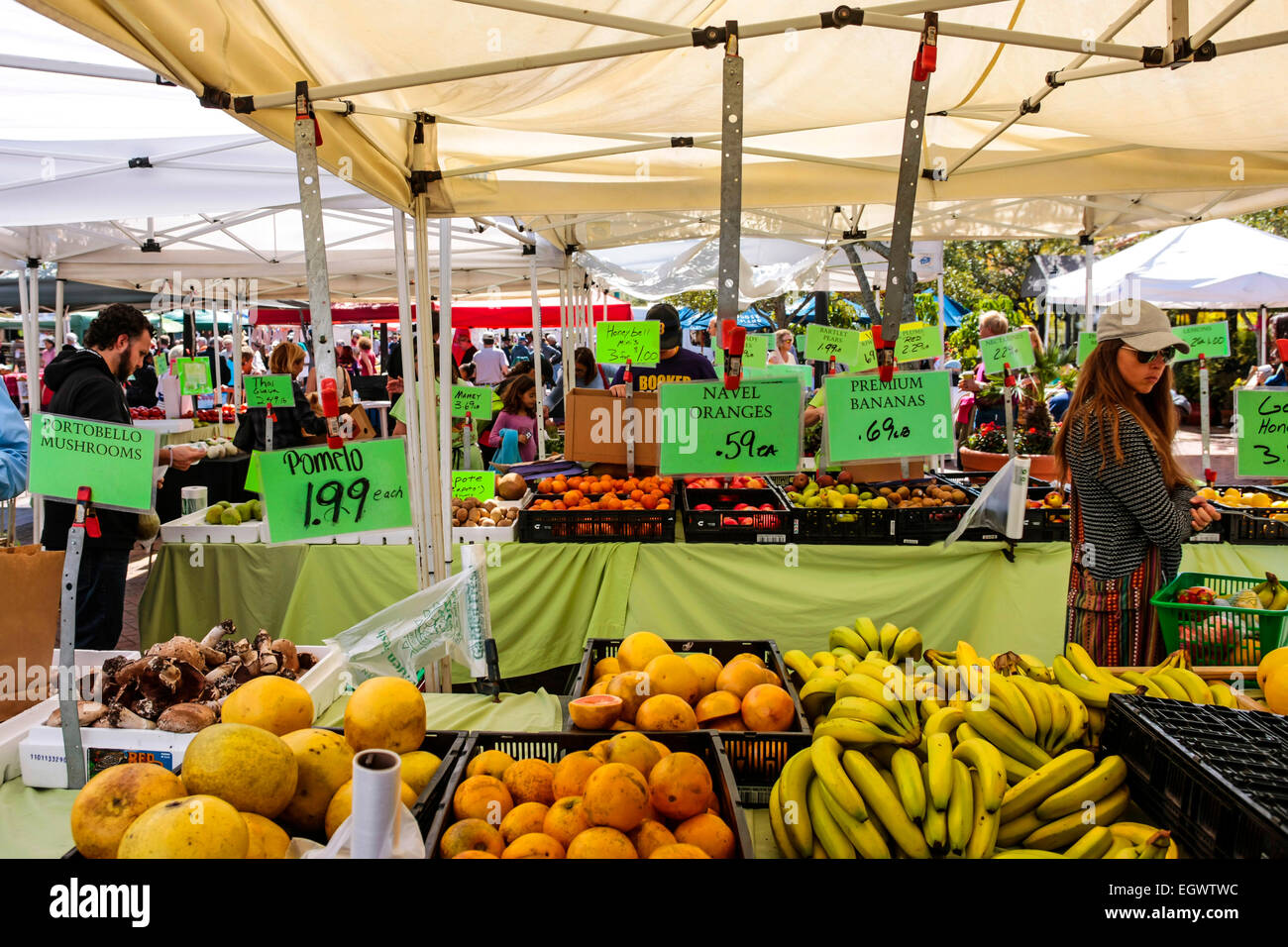 Fruit and Veg on sale at the Sarasota Farmers market on a Saturday morning each week Stock Photo