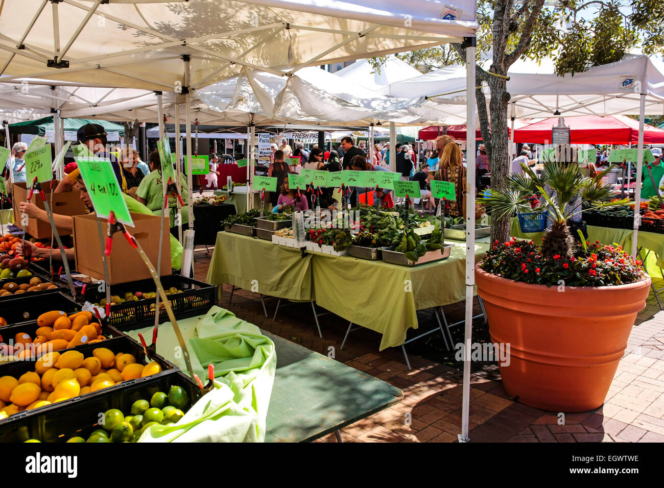 Fruit and Veg on sale at the Sarasota Farmers market on a Saturday morning each week Stock Photo