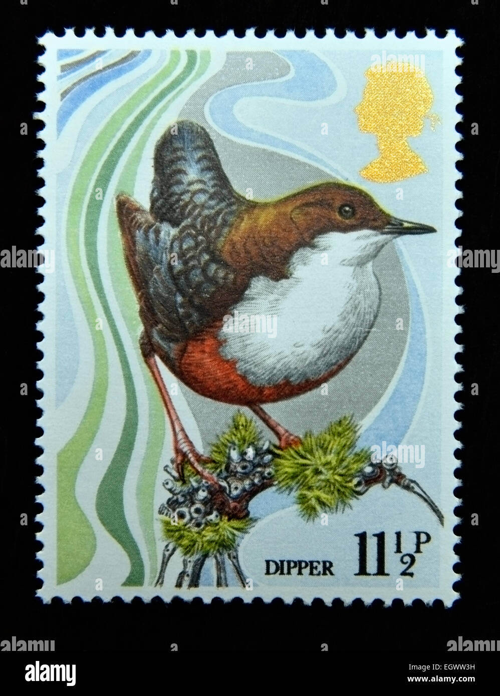 Postage stamp. Great Britain. Queen Elizabeth II. 1980. Centenary of Wild Bird Protection Act. Dipper. Stock Photo