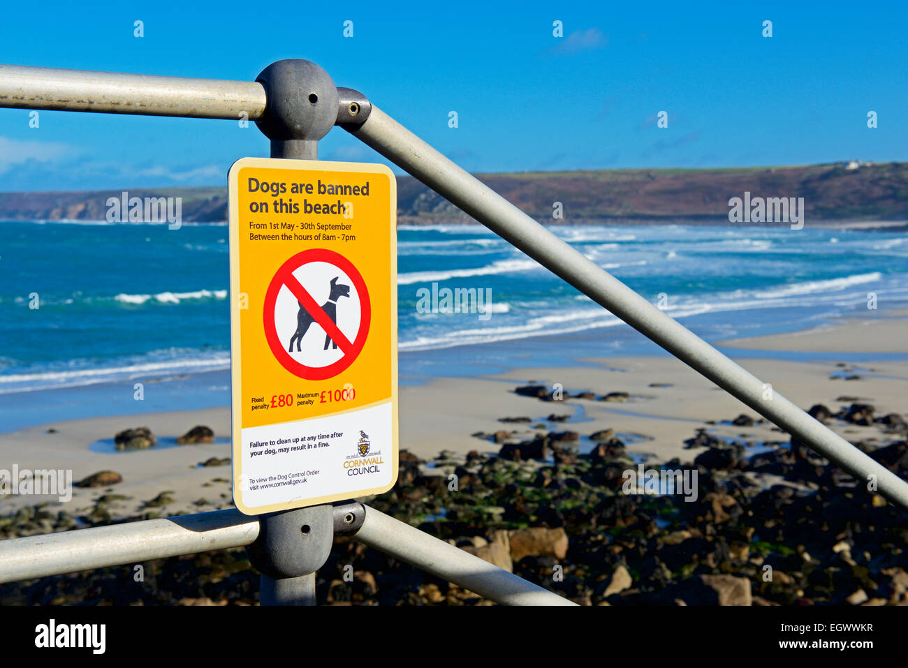 Are Dogs Banned From All Beaches