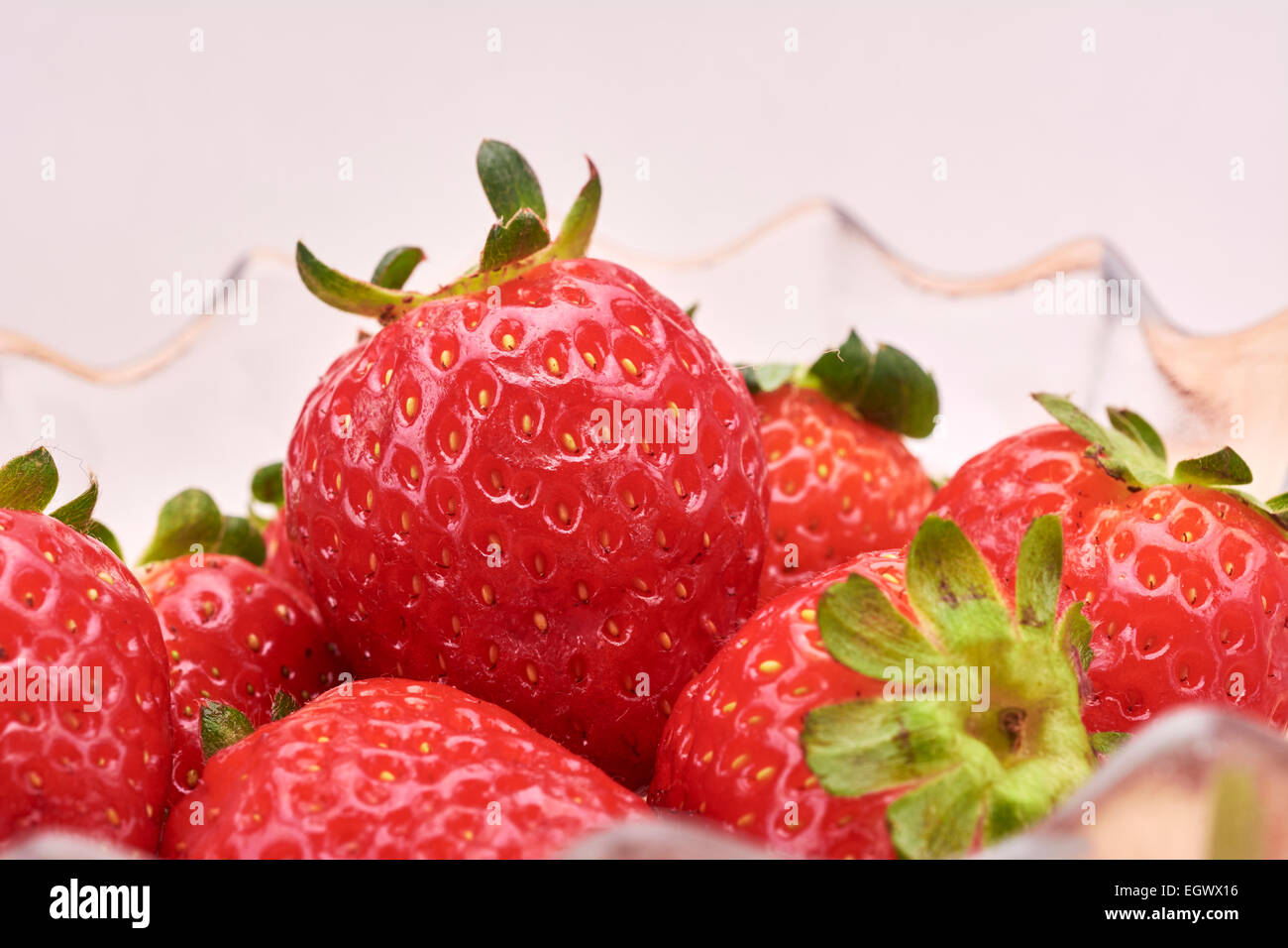 Strawberries on bowl in white background Stock Photo - Alamy