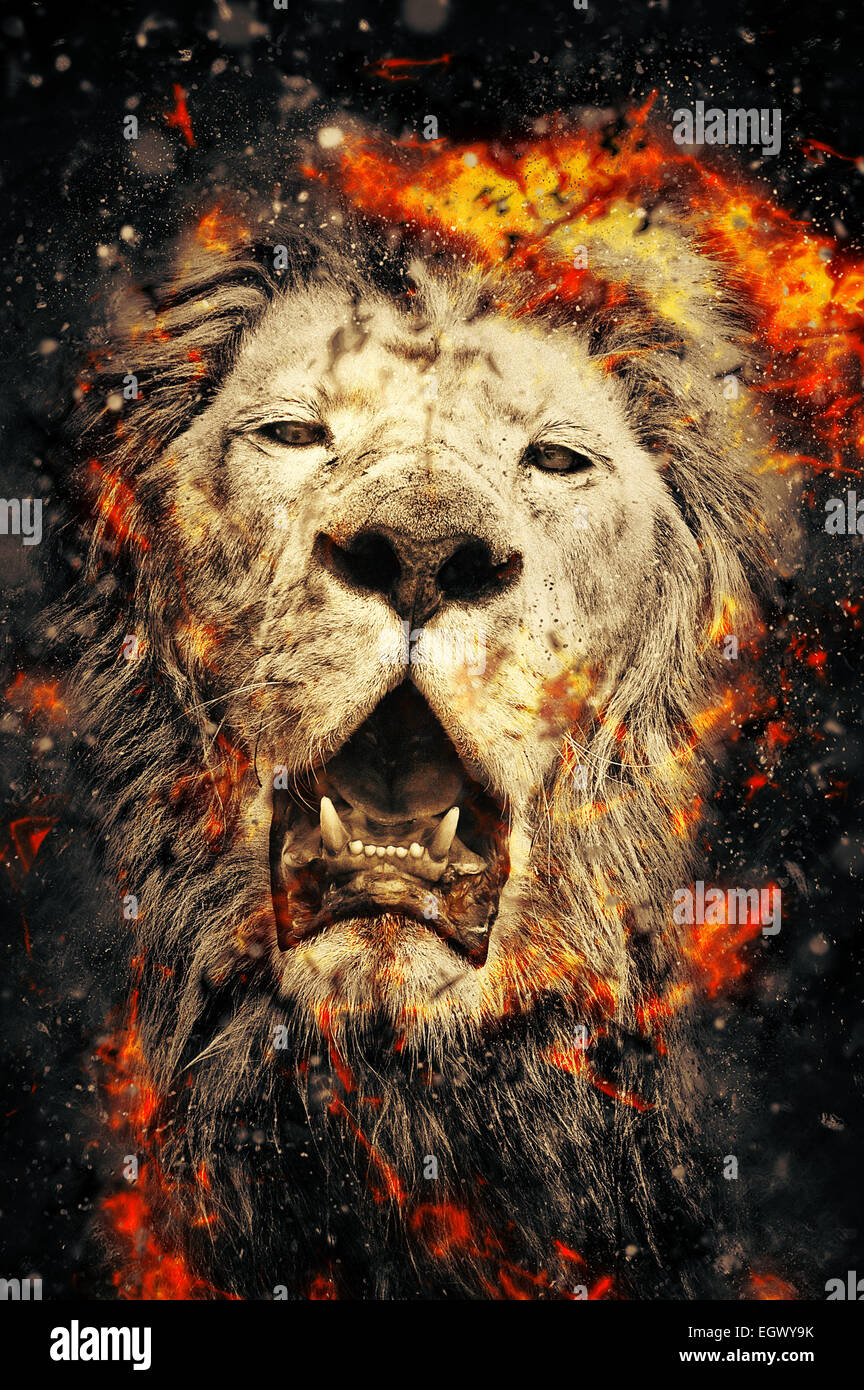 Photo & Art Print Lion in smoke on dark background