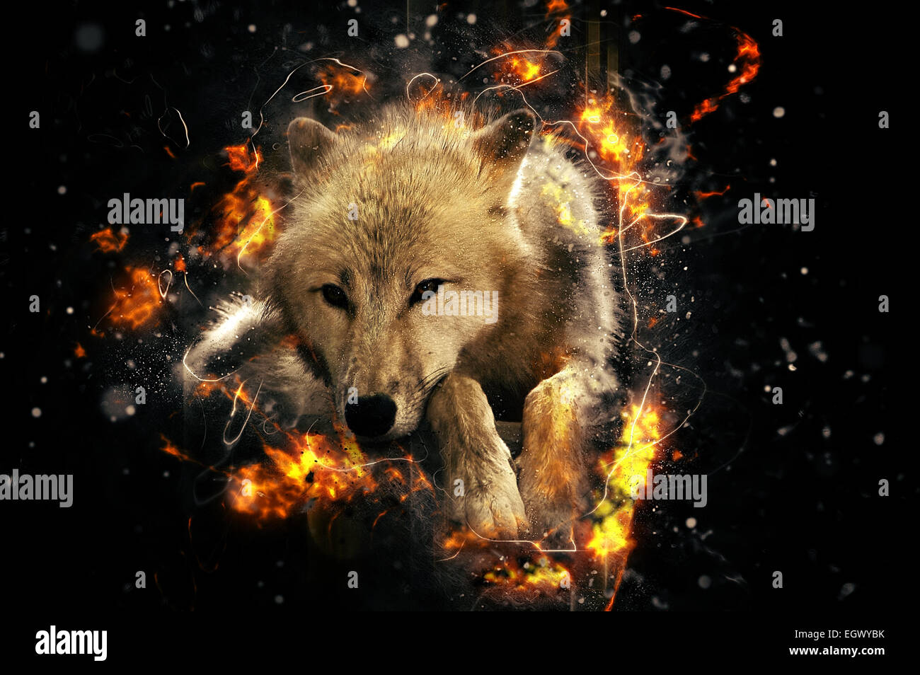 White wolf, fire illustration Stock Photo