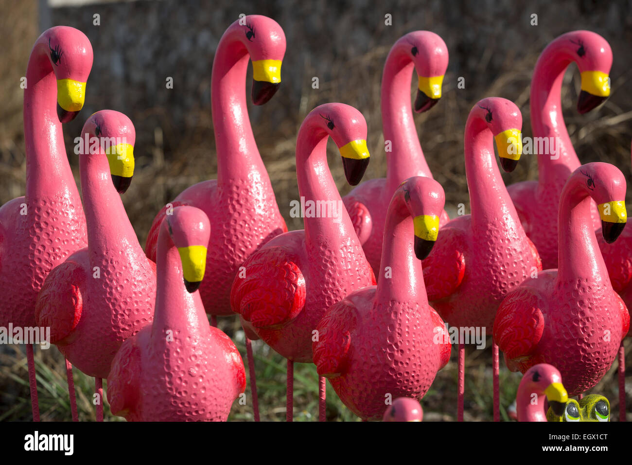 Ceramic pink flamingo lawn decorations Stock Photo - Alamy