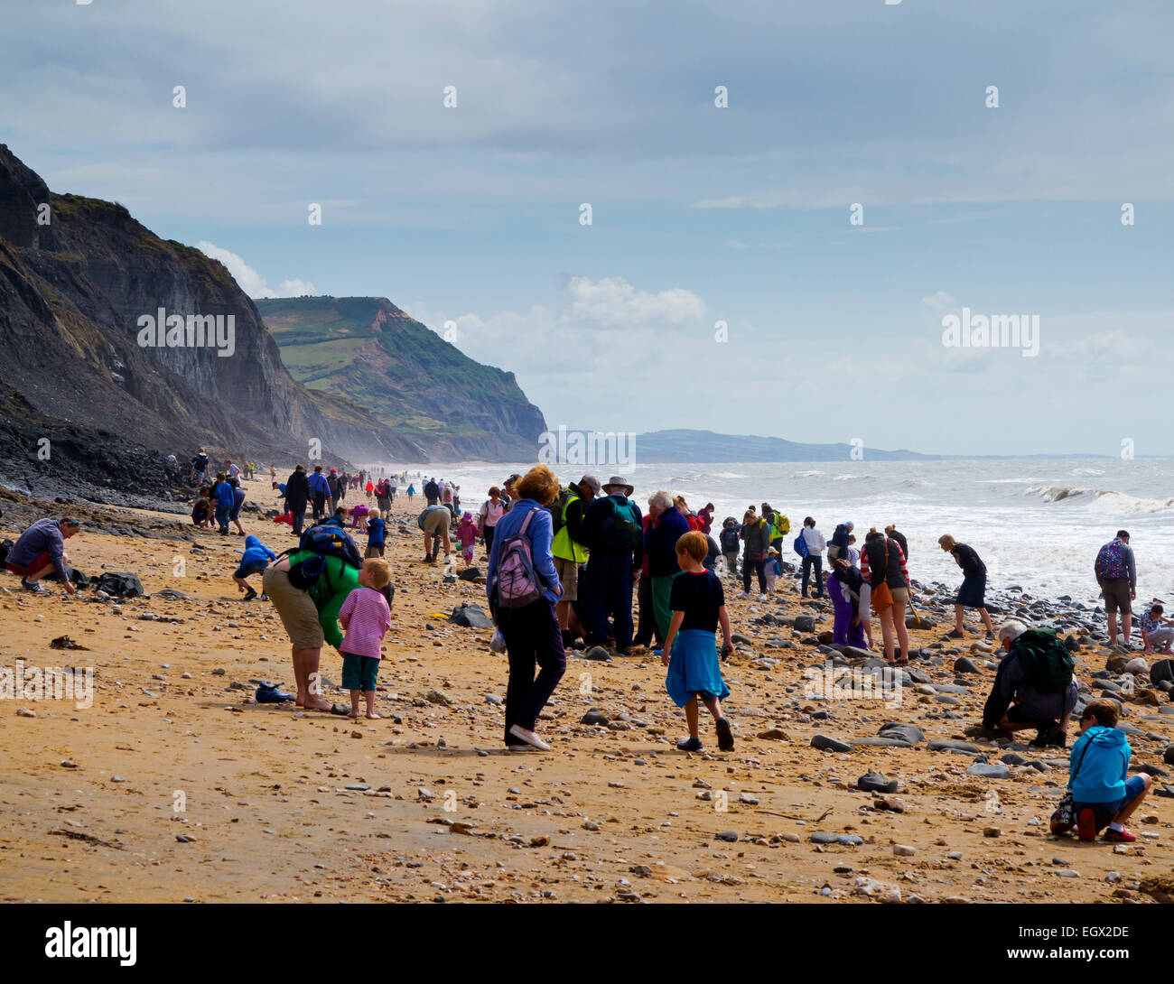 People hunting for fossils on the beach below the crumbling cliffs at Charmouth on the Jurassic Coast in West Dorset England UK Stock Photo