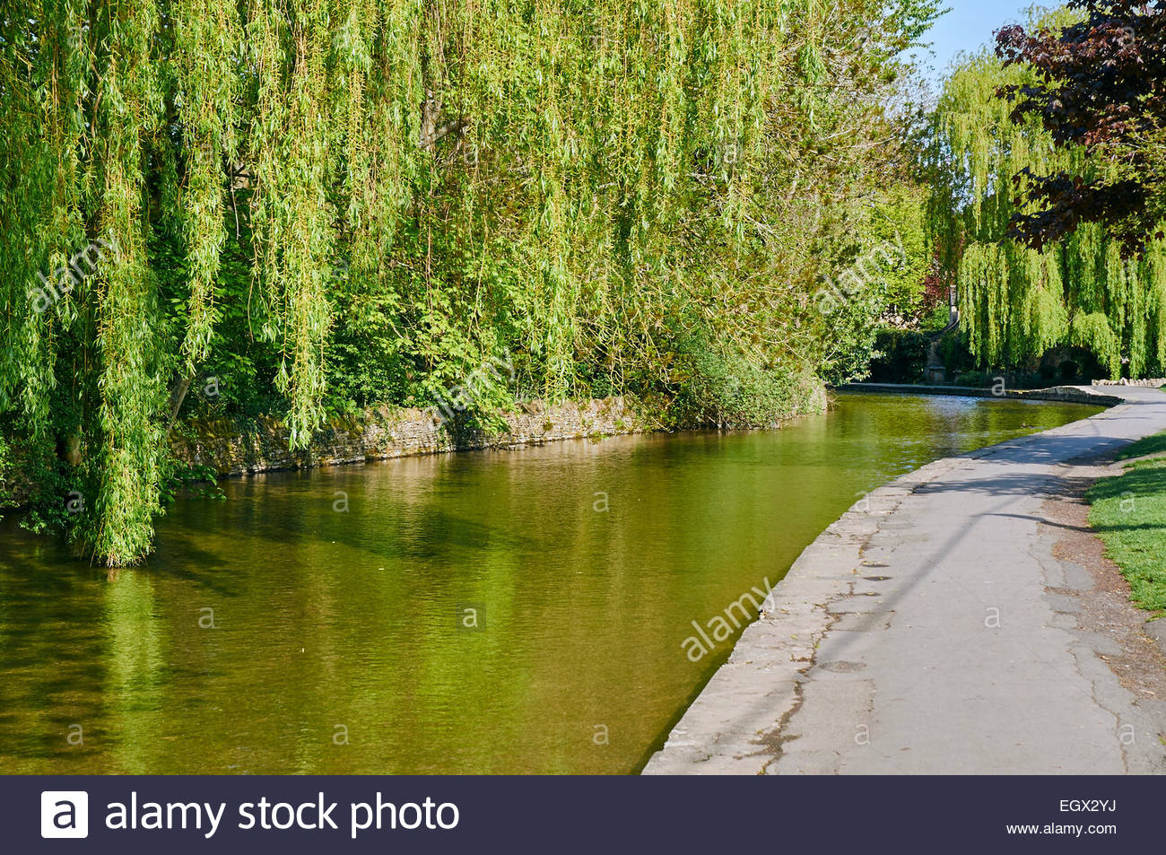 Overhanging Tree High Resolution Stock Photography and Images - Alamy