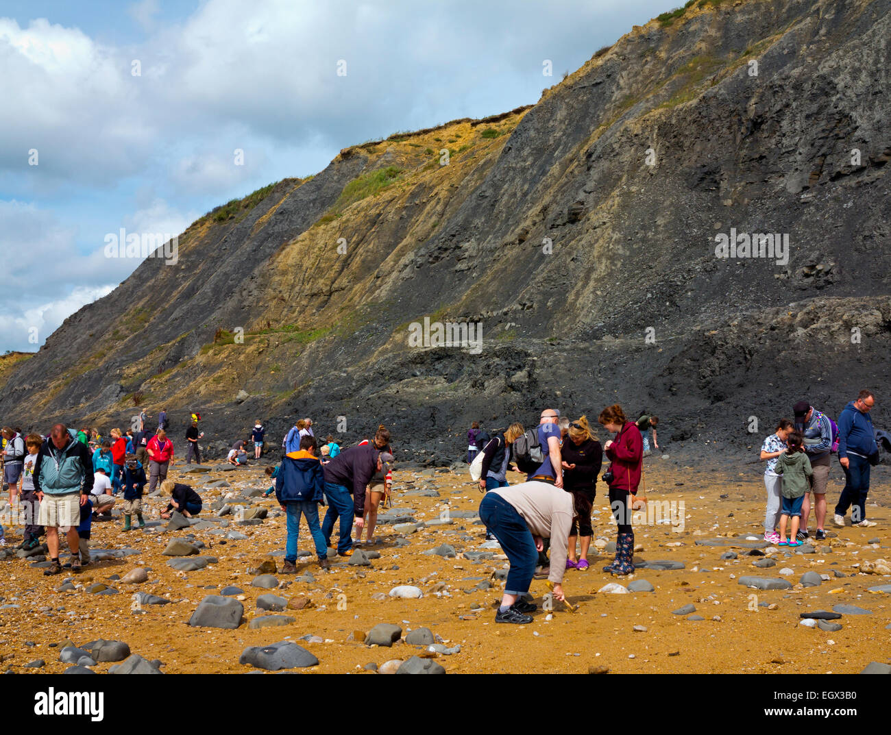 People hunting for fossils on the beach below the crumbling cliffs at Charmouth on the Jurassic Coast in West Dorset England UK Stock Photo