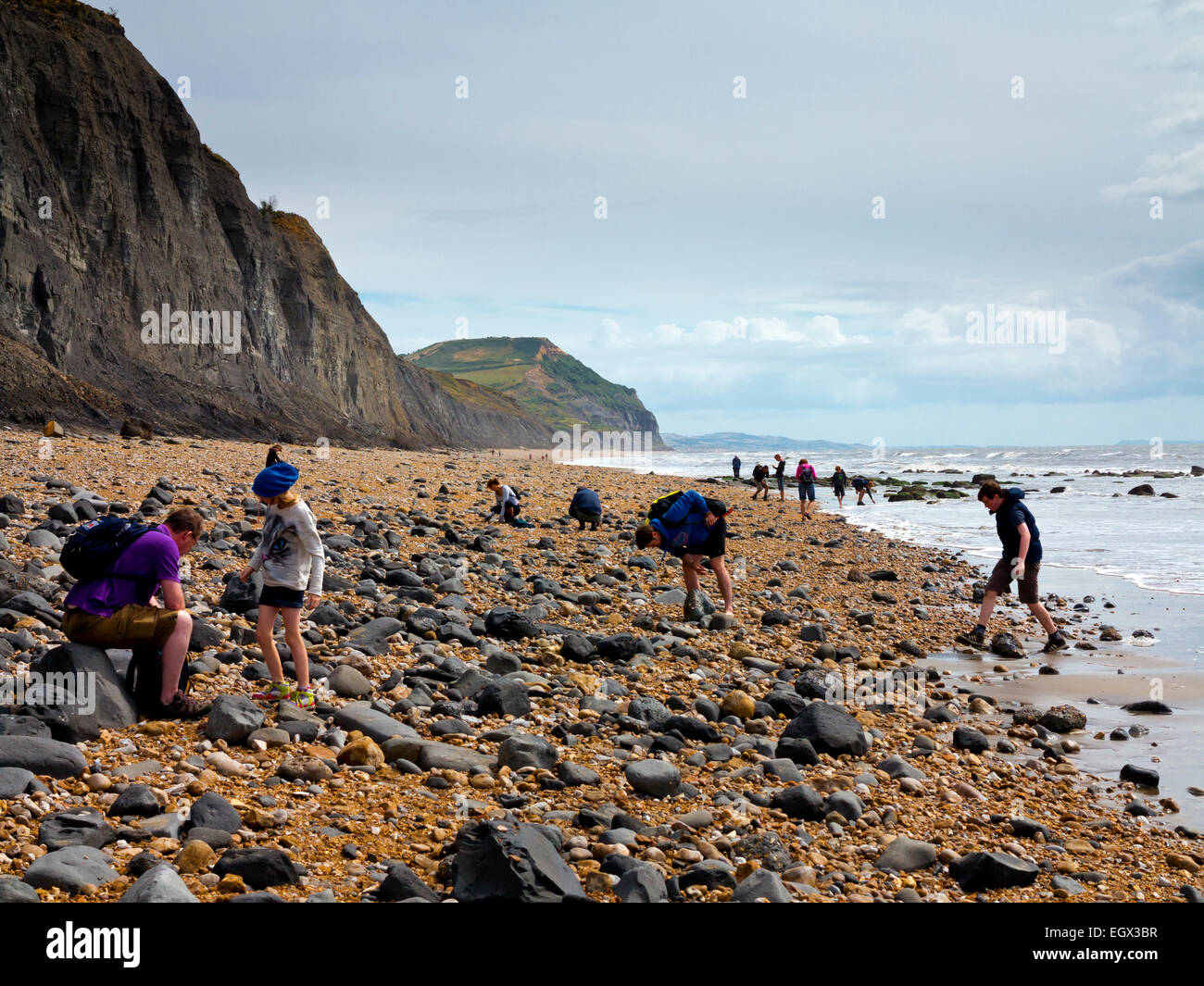 People hunting for fossils on the beach below the crumbling cliffs at