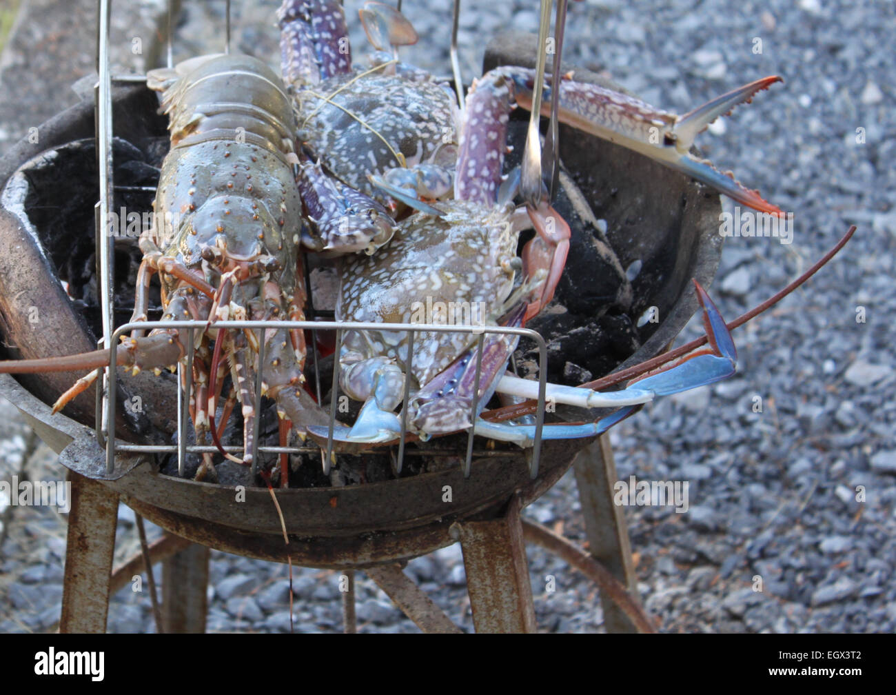 Seafood lobster and crabs, grilled, Thailand, Southeast Asia Stock