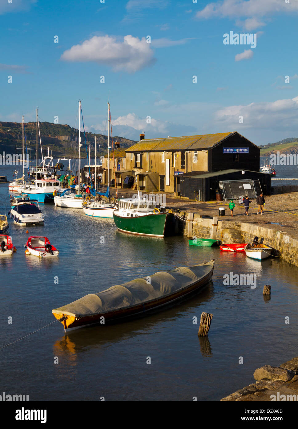 Small boats in the harbour at Lyme Regis a fishing port and seaside ...