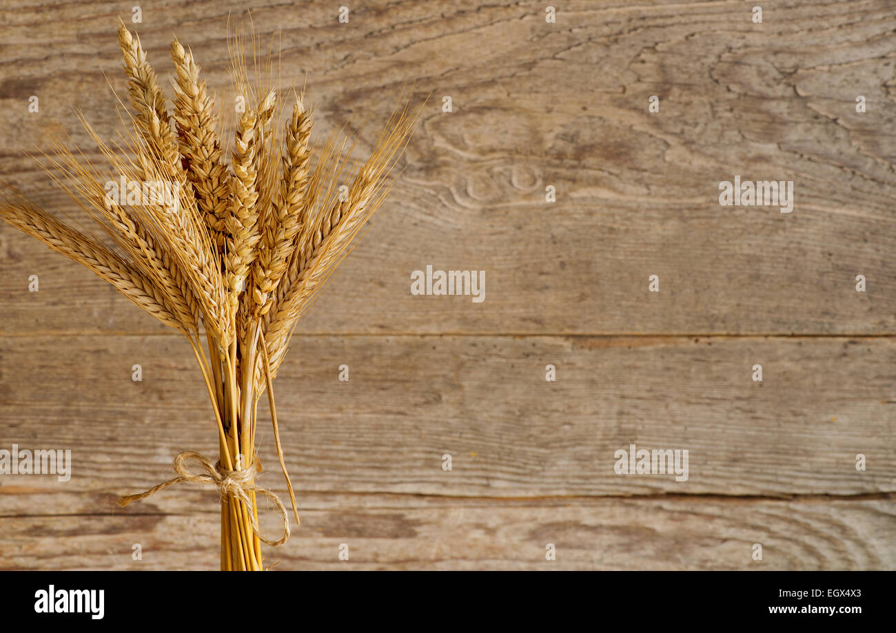 Wheat sheaf hires stock photography and images Alamy