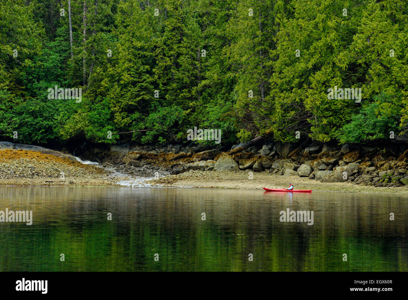 Kayaking in Equinox Cove Haida Gwaii (Queen Charlotte Islands) British