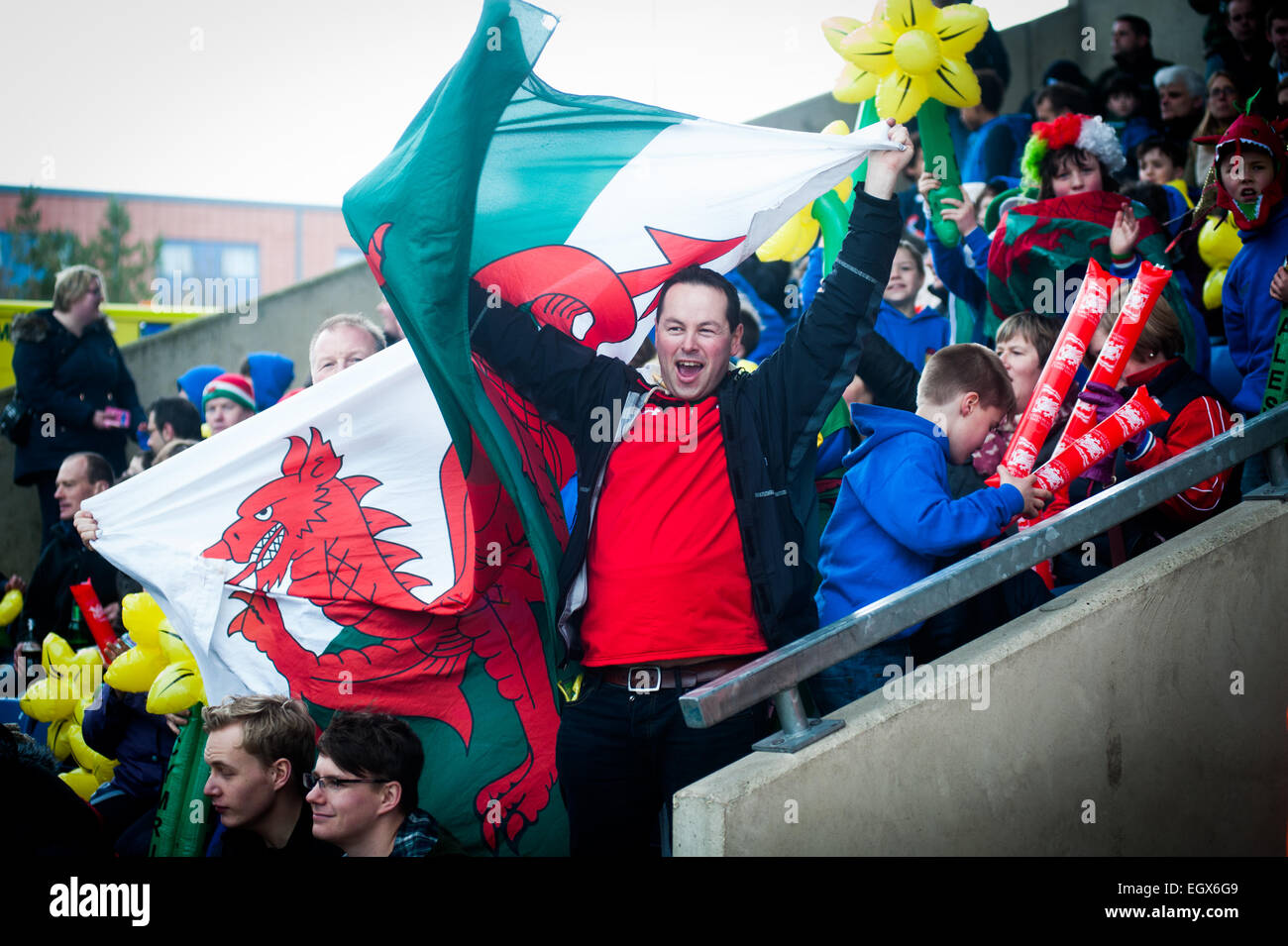 London Welsh rugby supporters celebrating on Saint David's Day (March 1st 2015) and waving inflatable daffodils Stock Photo