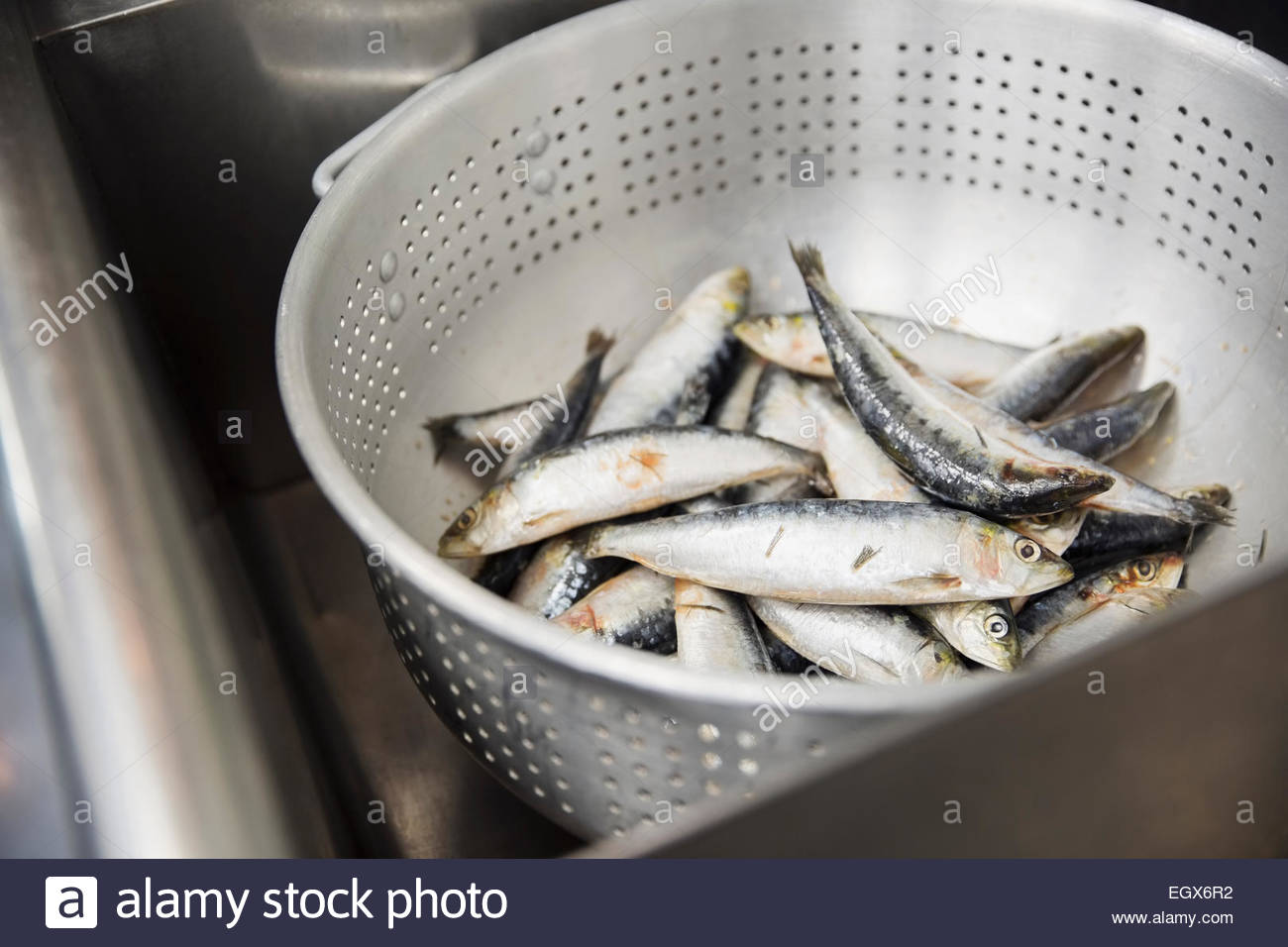 Small Fish Stock Photos & Small Fish Stock Images Alamy