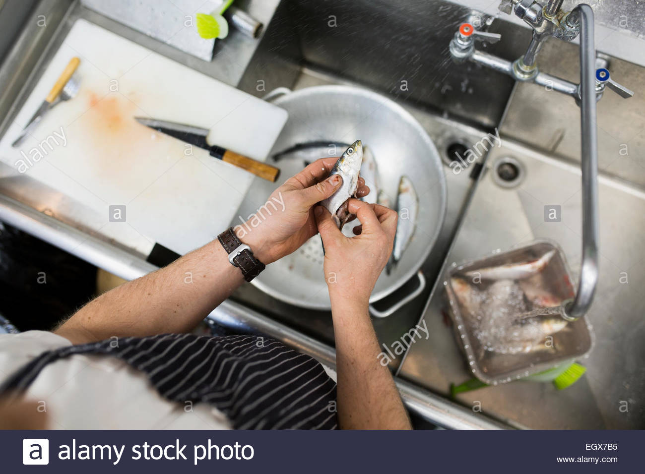 Fish preparation sink hires stock photography and images Alamy