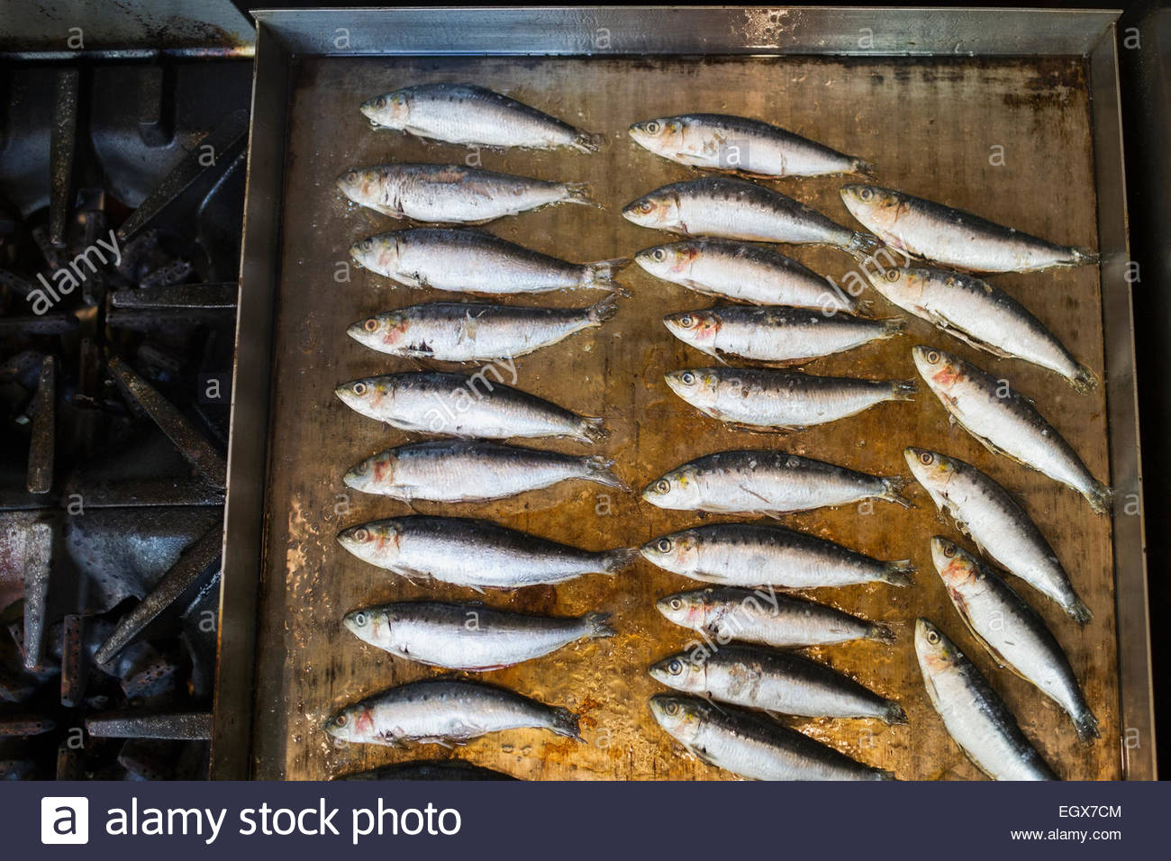 Small fish cooking on flat top stove Stock Photo