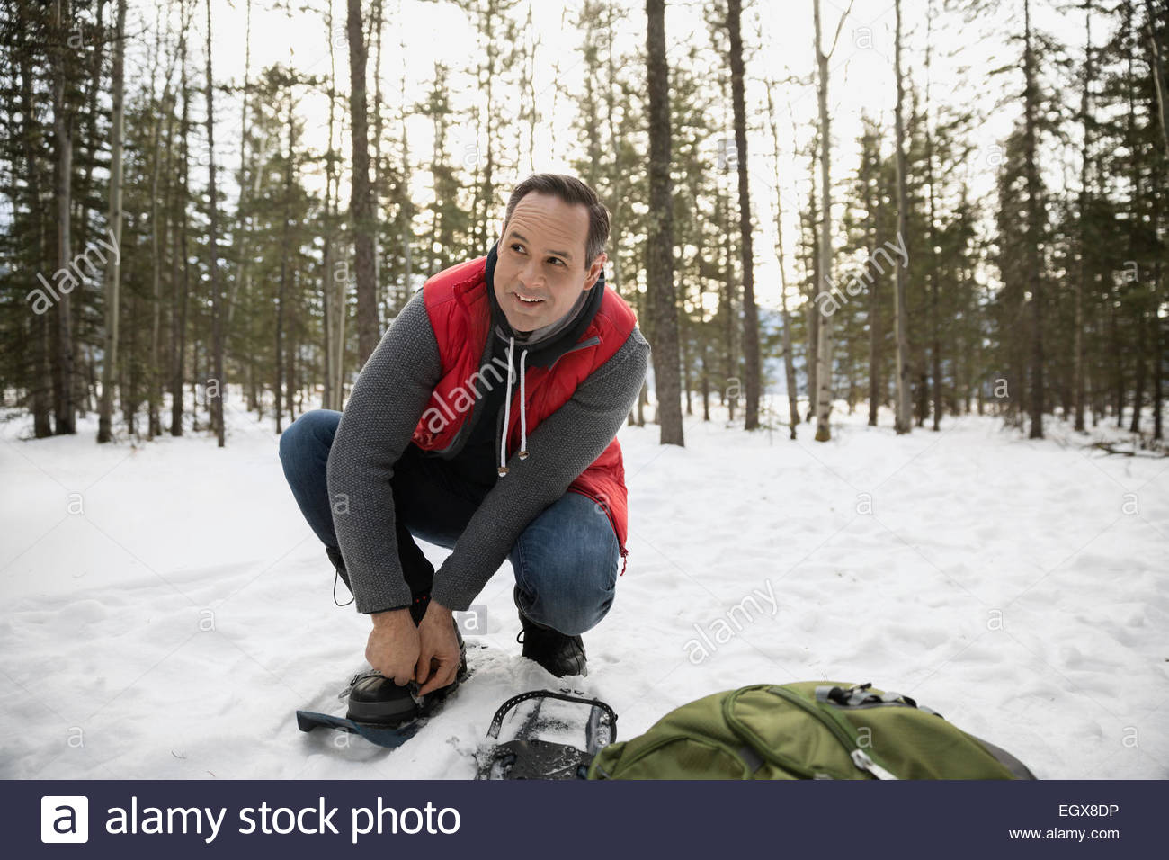 Man putting on snowshoes in snowy woods Stock Photo Alamy