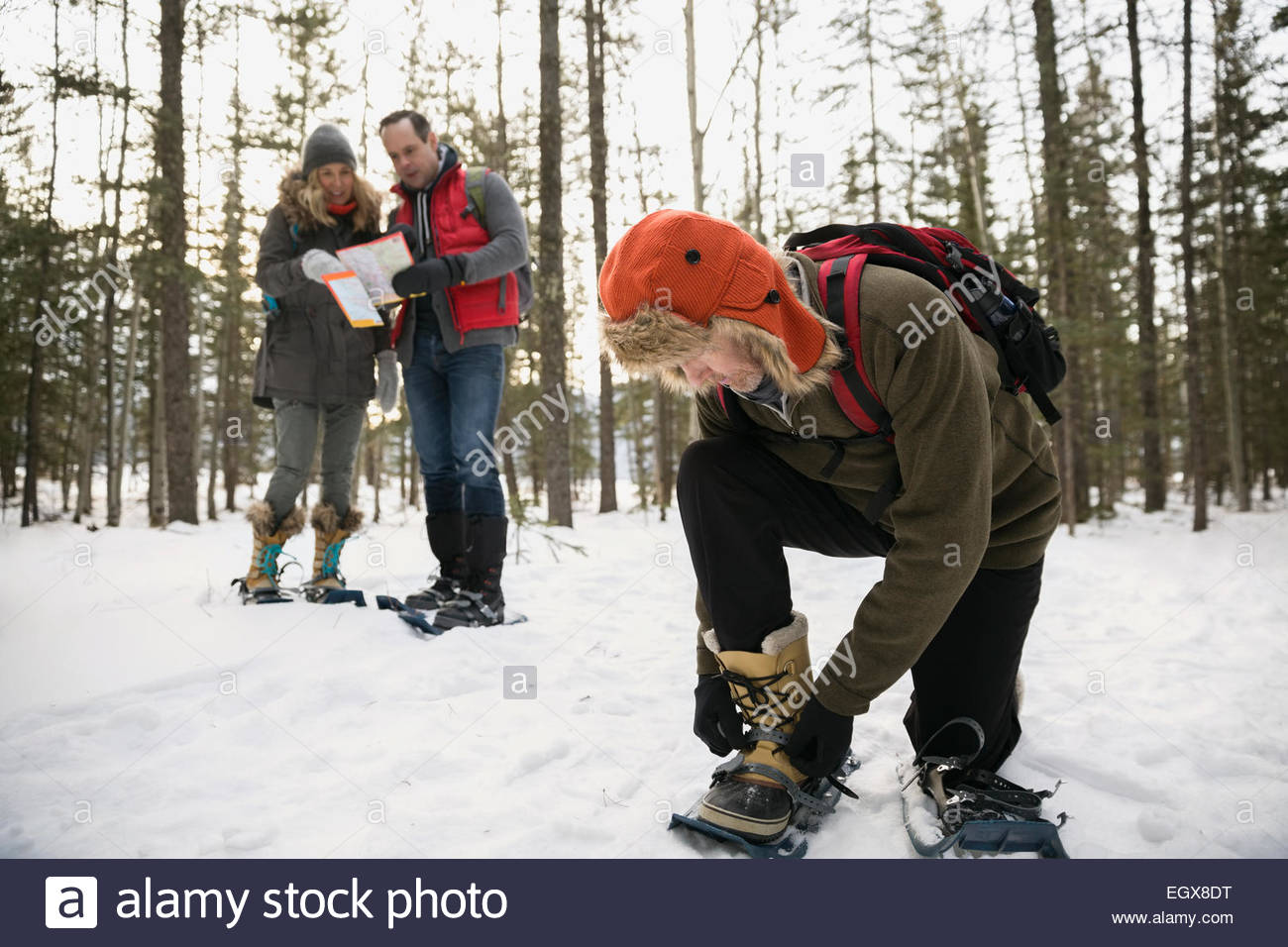 Man putting on snowshoes in snowy woods Stock Photo Alamy