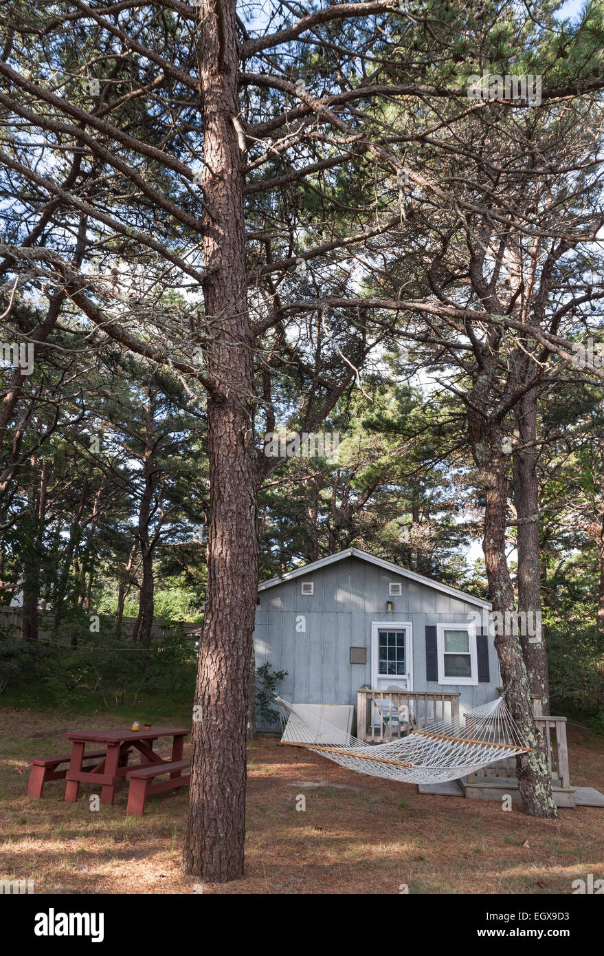 Vacation rental cabin in the woods on Cape Cod, Massachusetts. Stock Photo