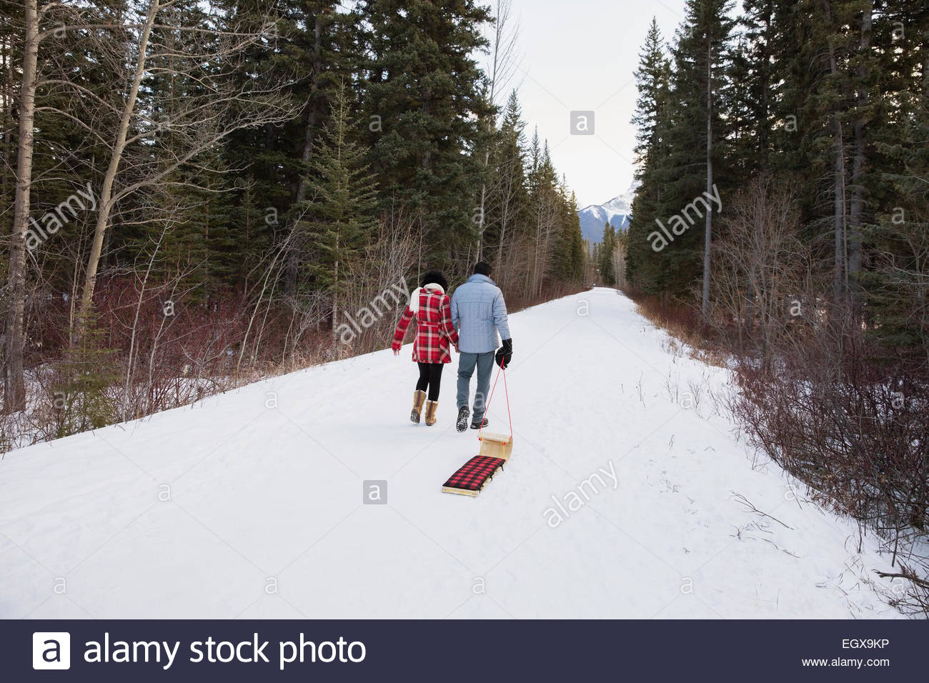 Couple pulling sled down snowy lane in woods Stock Photo