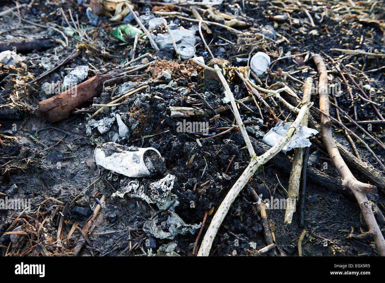 Environmental Crime High Resolution Stock Photography and Images - Alamy