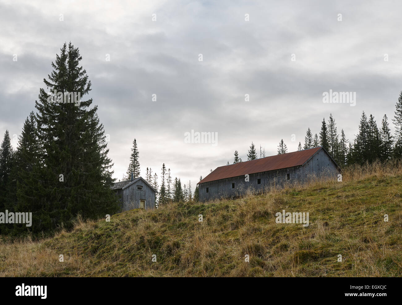 Old abandoned farm in the middle of Norway Stock Photo