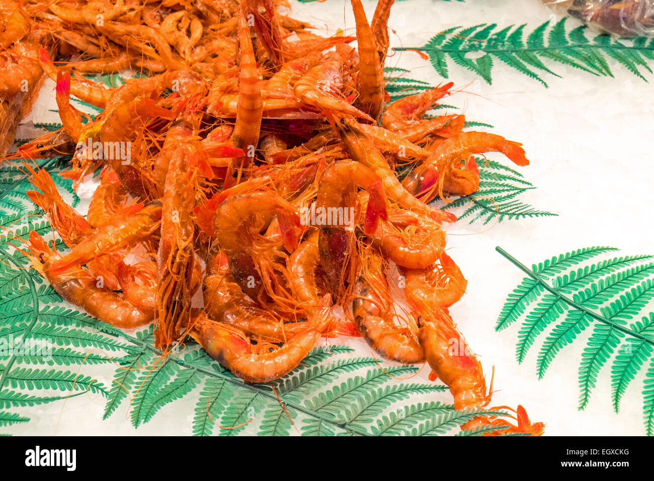 Fresh jumbo shrimp sale hires stock photography and images Alamy