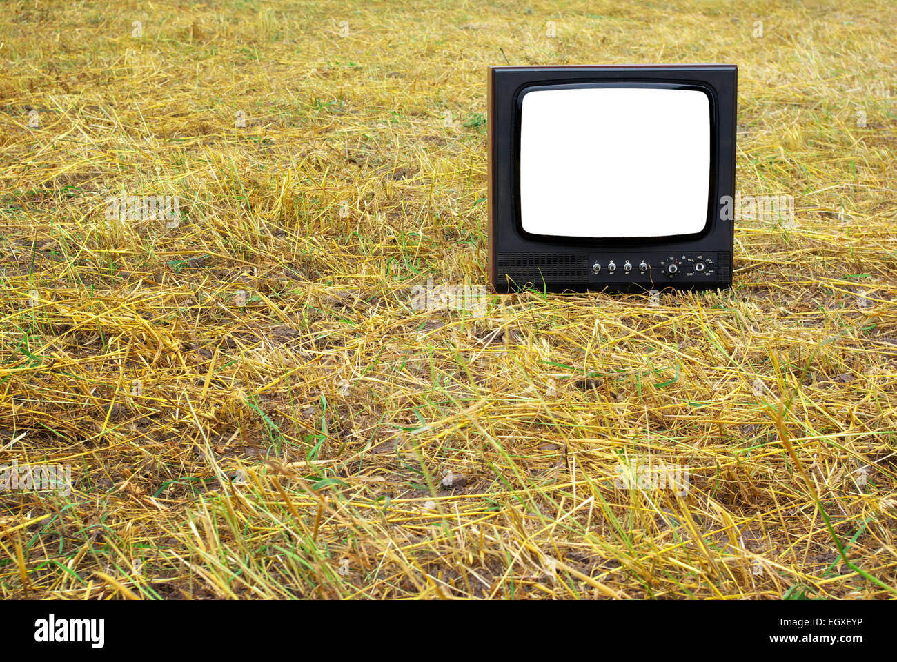 Old television set stand on hay. Conceptual design. Stock Photo