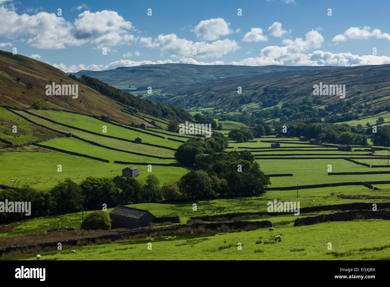 Abbotside Common, between Swaledale and Wensleydale Stock Photo