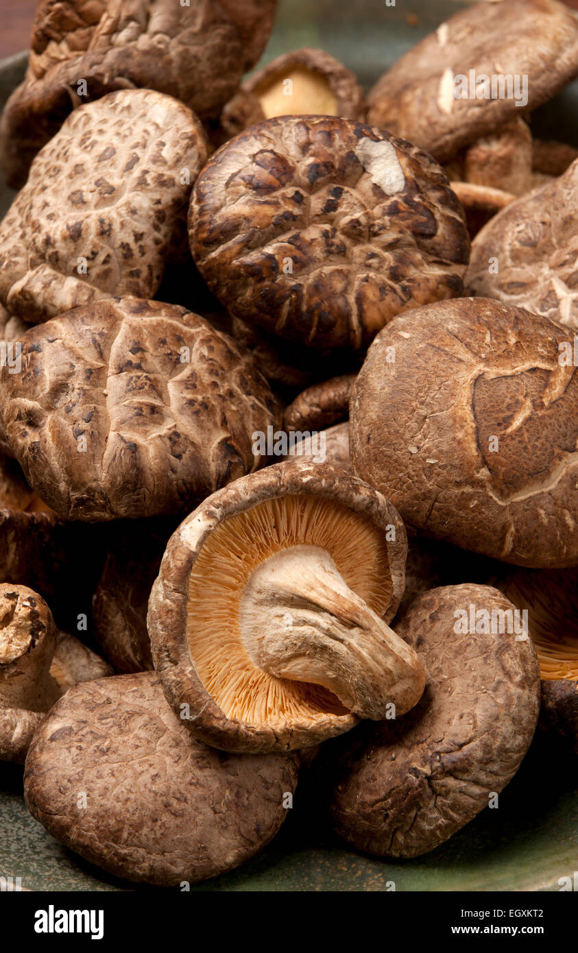 Dried shiitake mushrooms Stock Photo Alamy