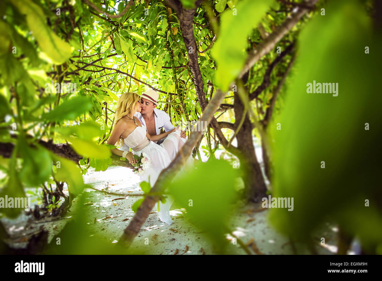 Couple tree kiss summer hi-res stock photography and images - Alamy